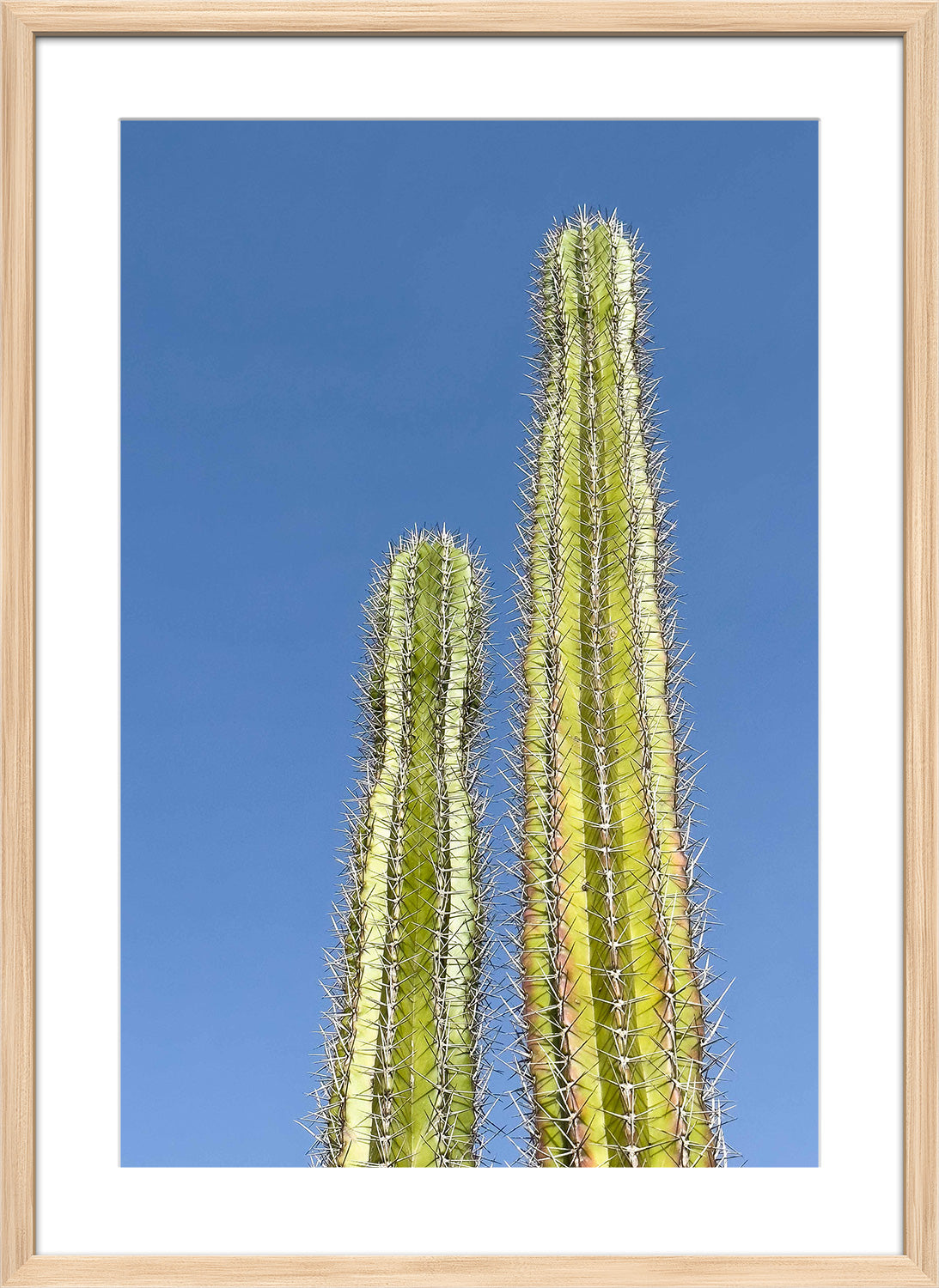 cactus print wood frame
