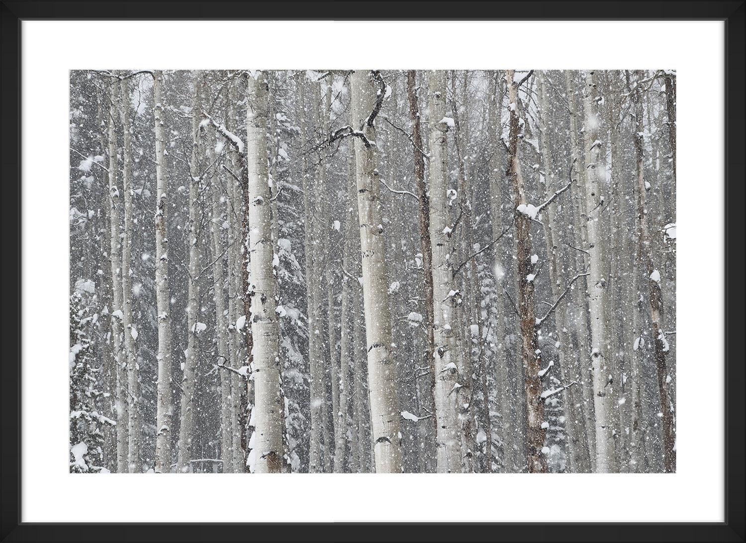 tree print black frame