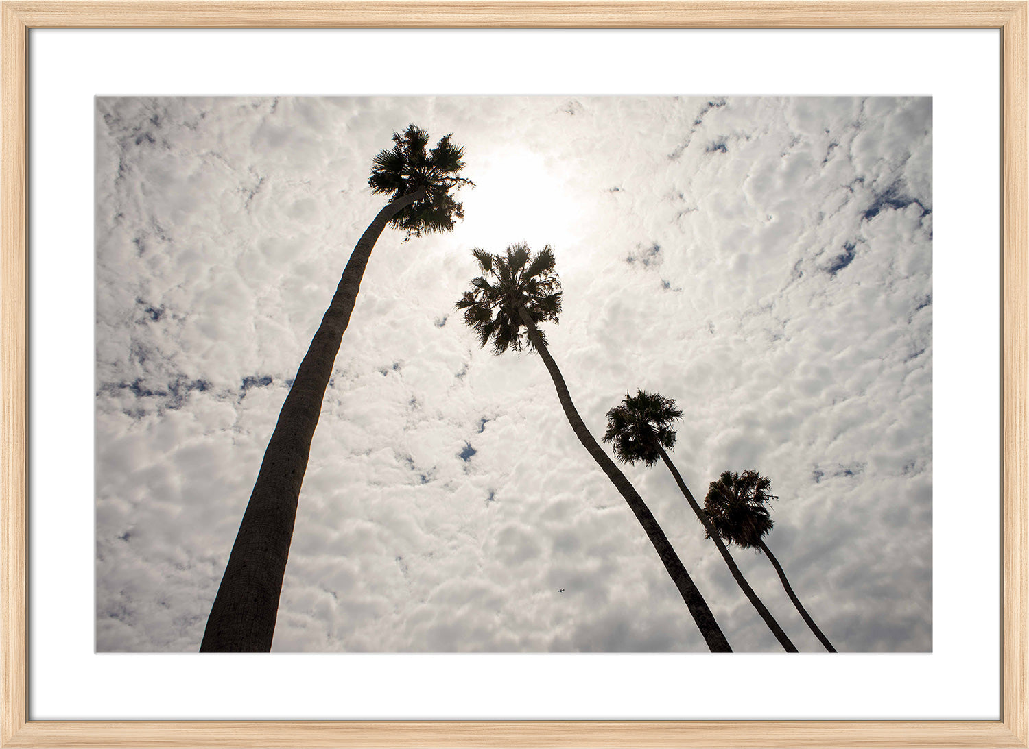 palm tree print natural frame