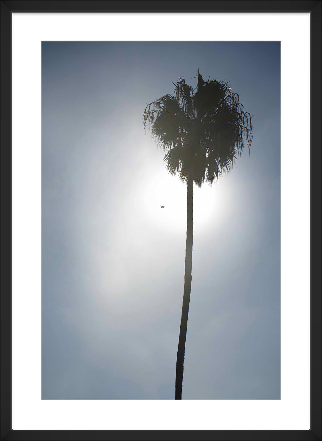 palm tree print black frame