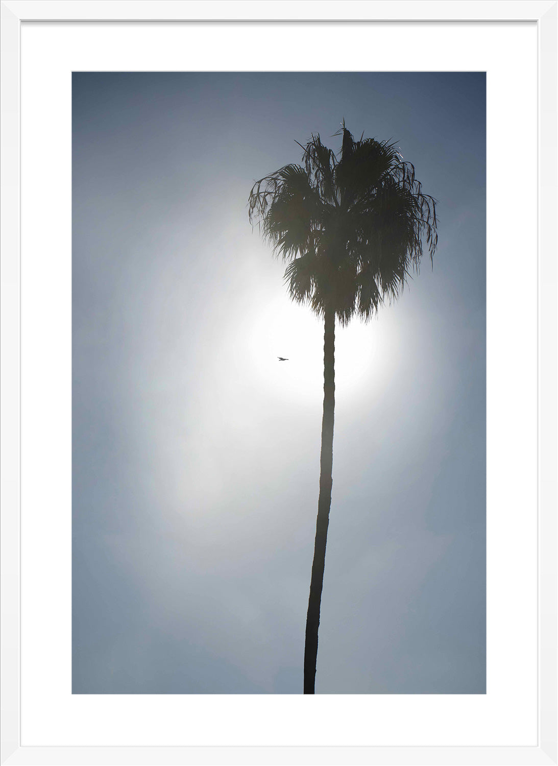 palm tree print white frame