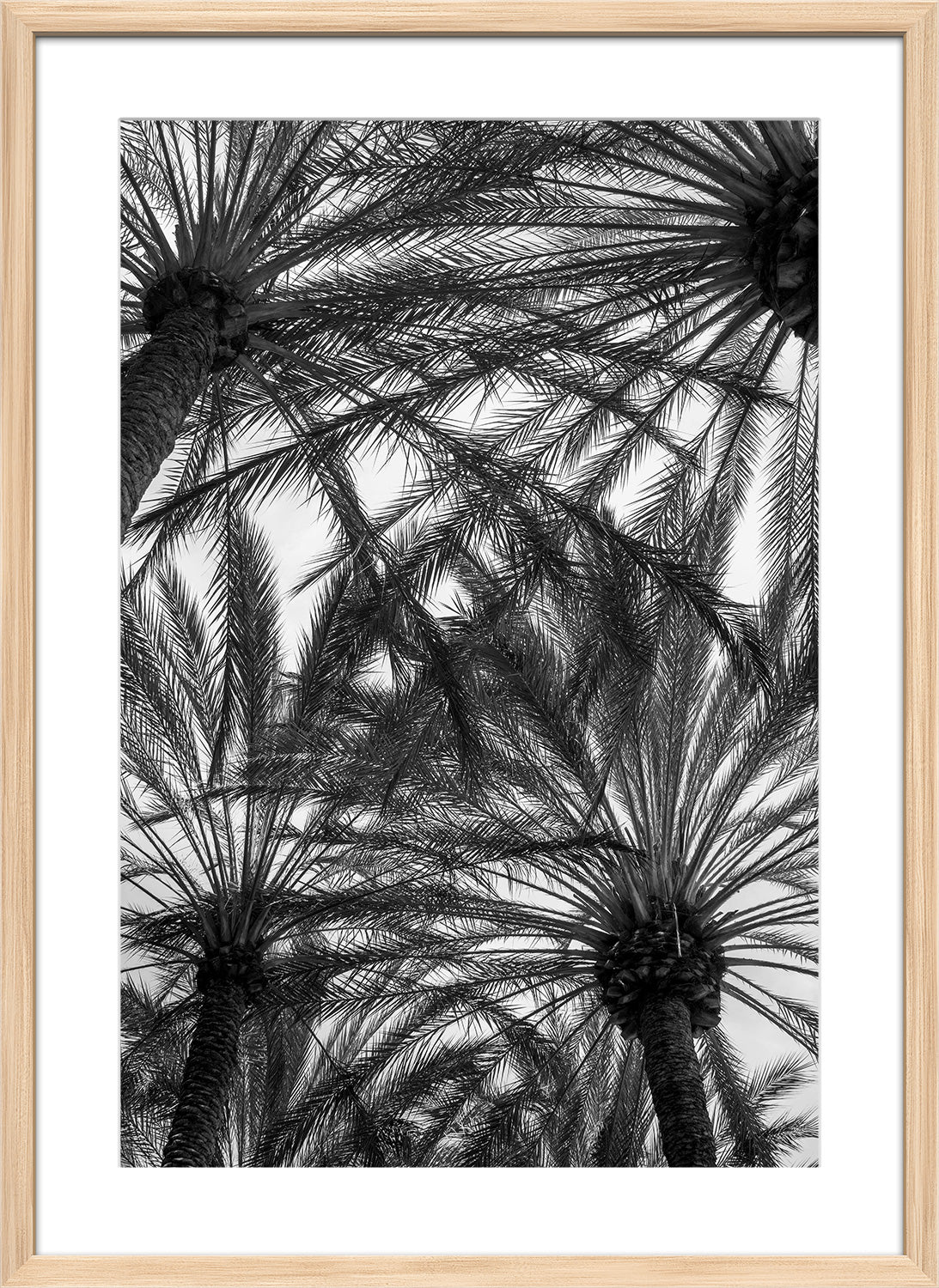 palm trees print wood frame