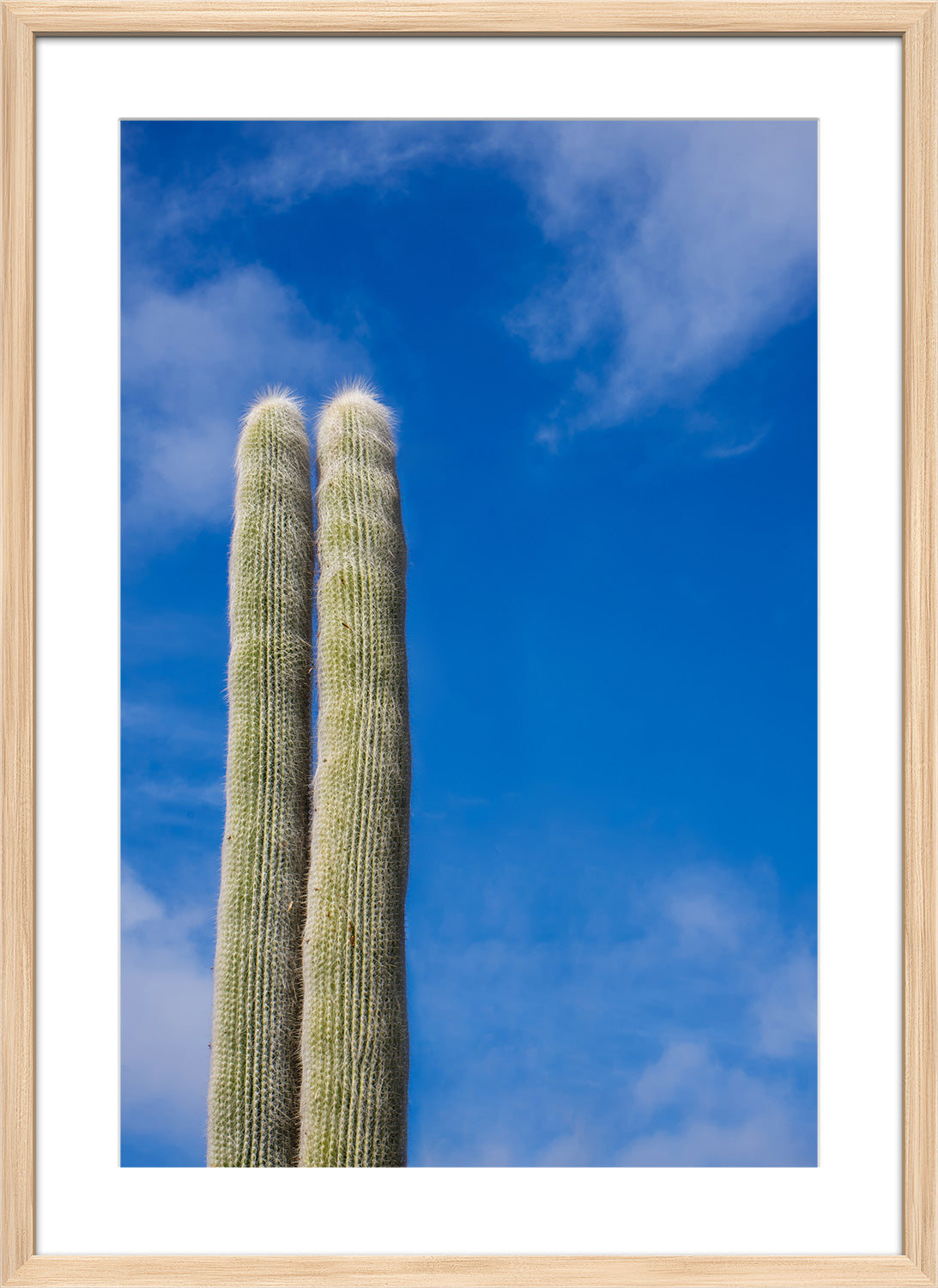 cactus print natural frame