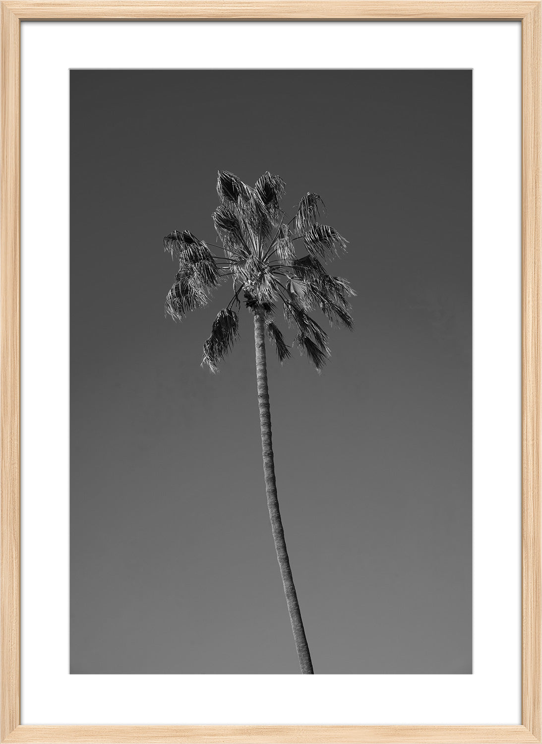 palm tree print natural frame