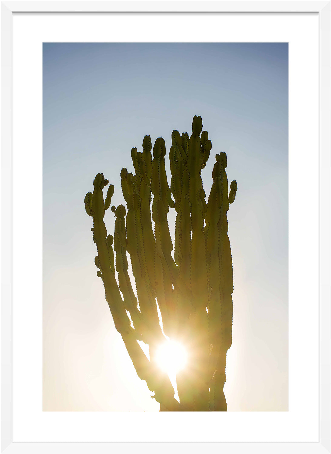 starburst white frame print
