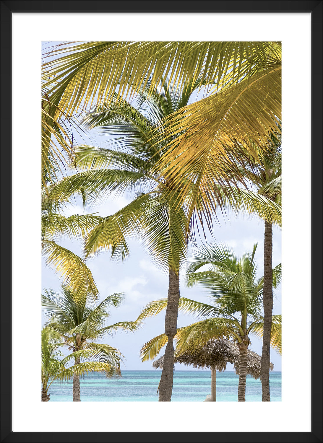 Aruba palm trees print black frame