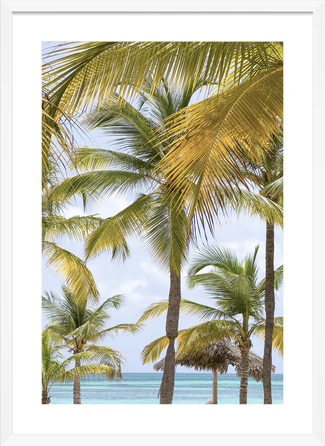 Aruba palm trees print white frame