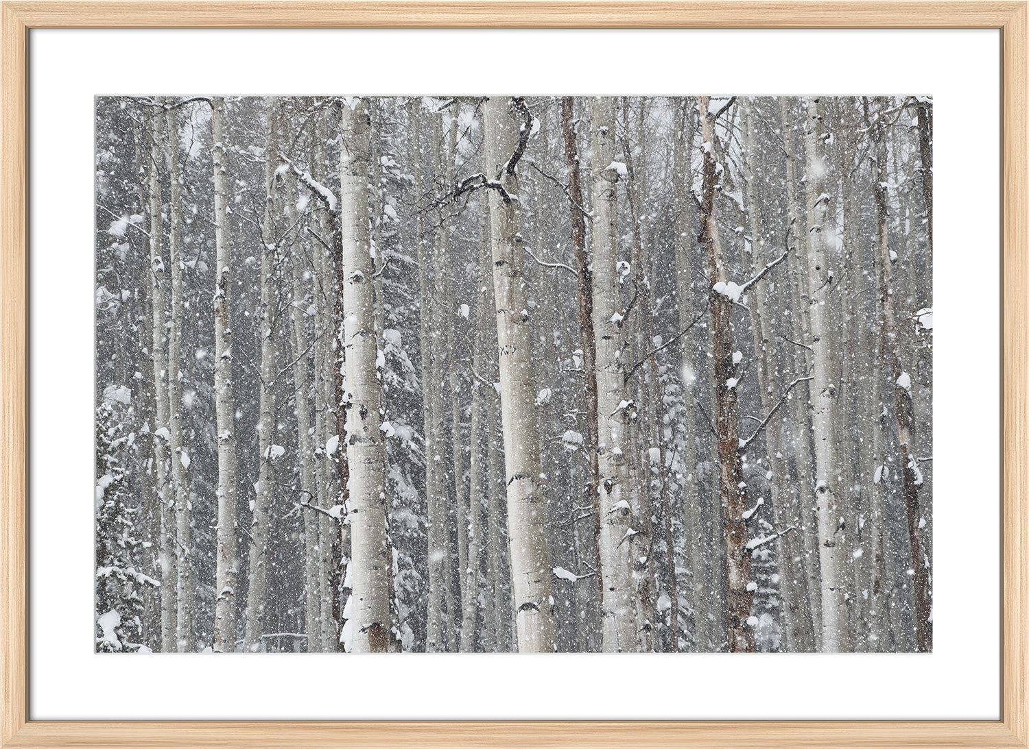 tree print wood frame