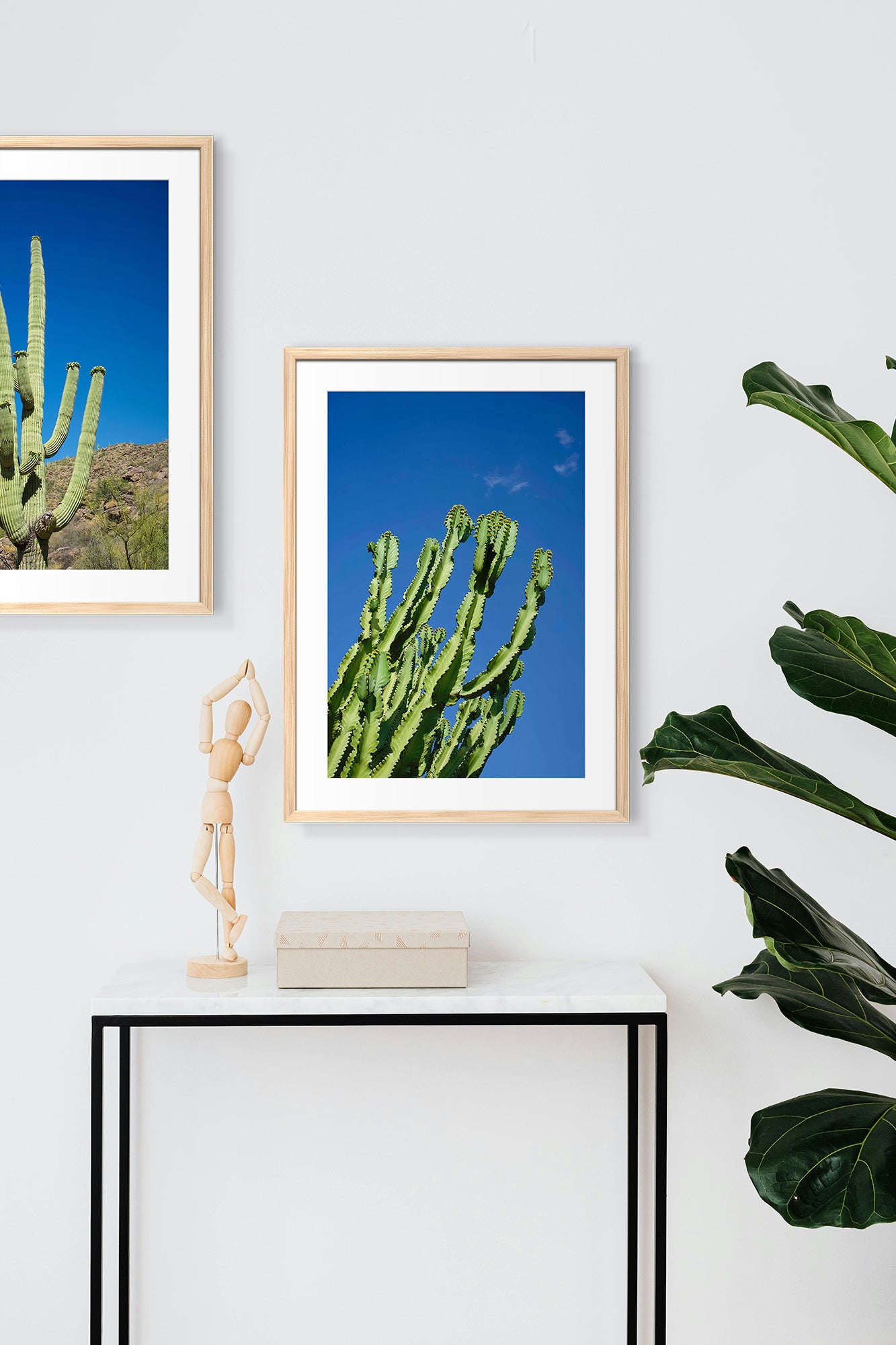 cactus print lifestyle