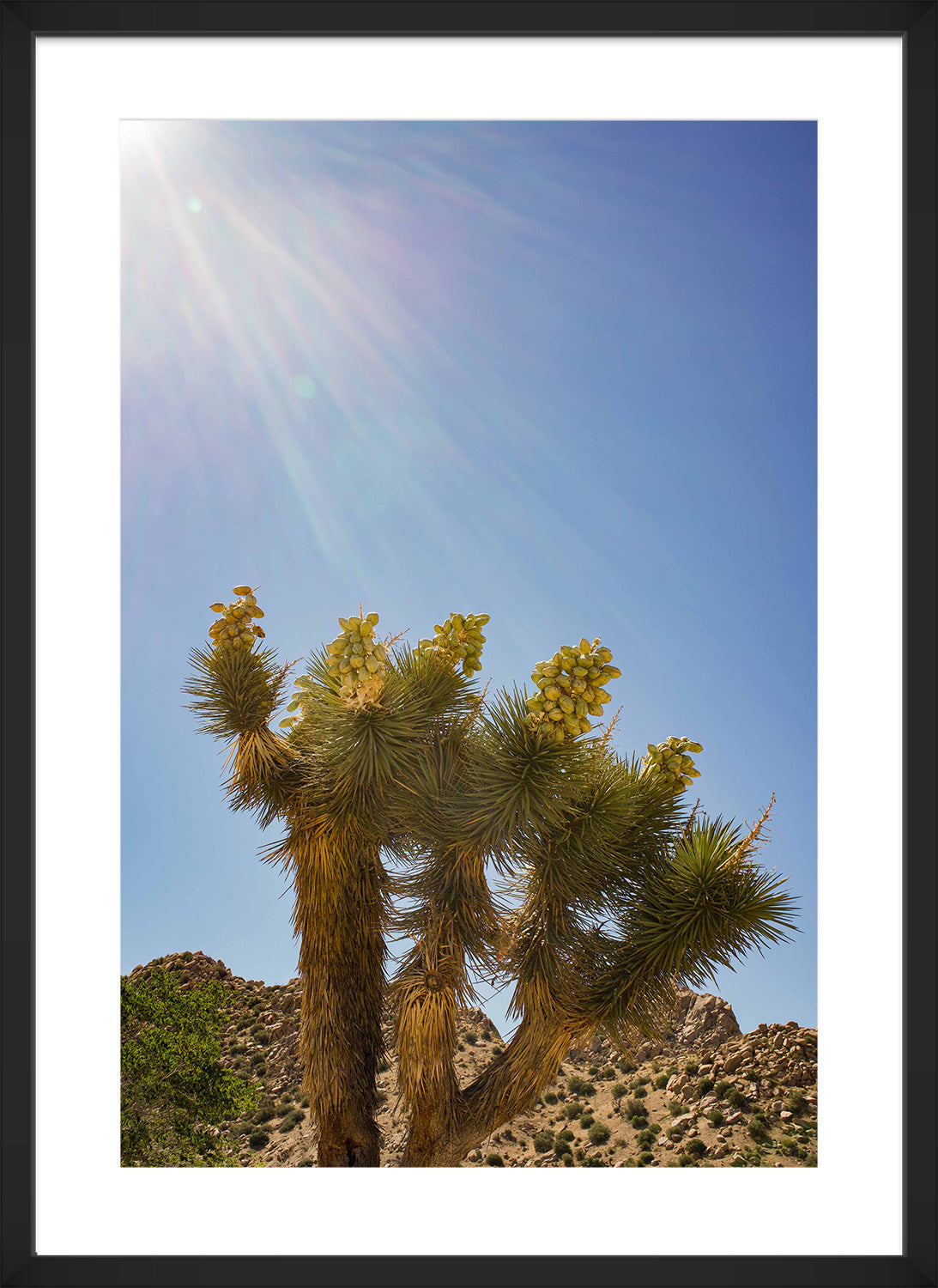 desert sun print black frame