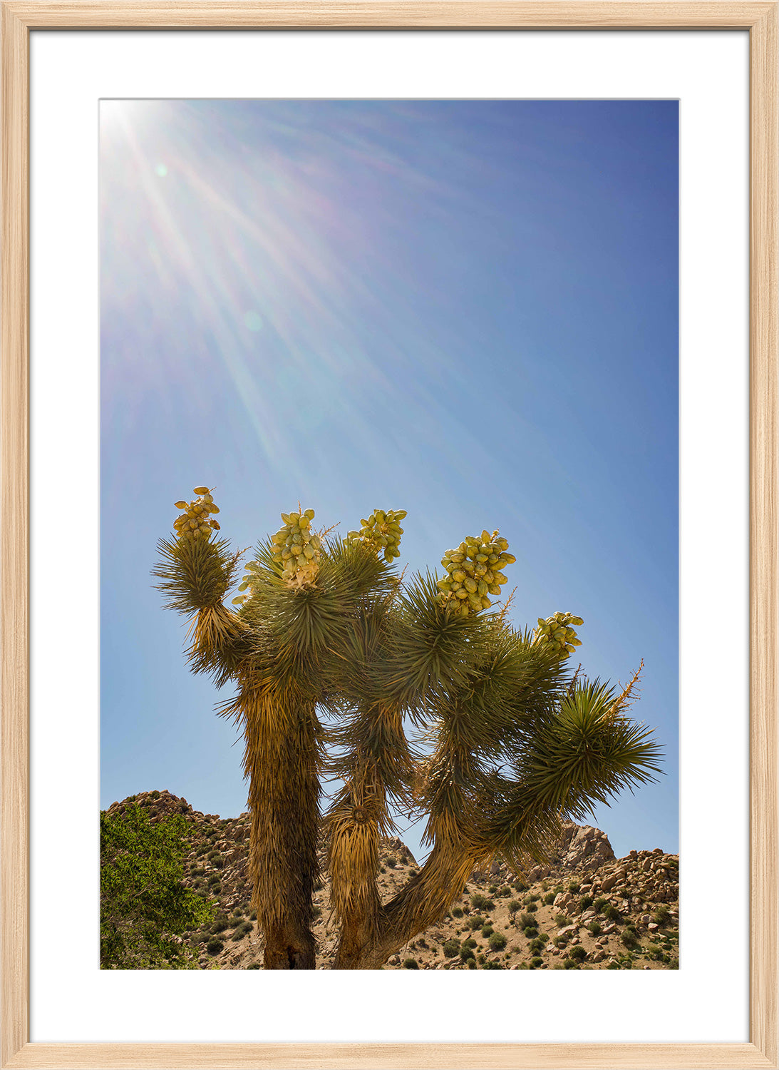desert sun print wood frame