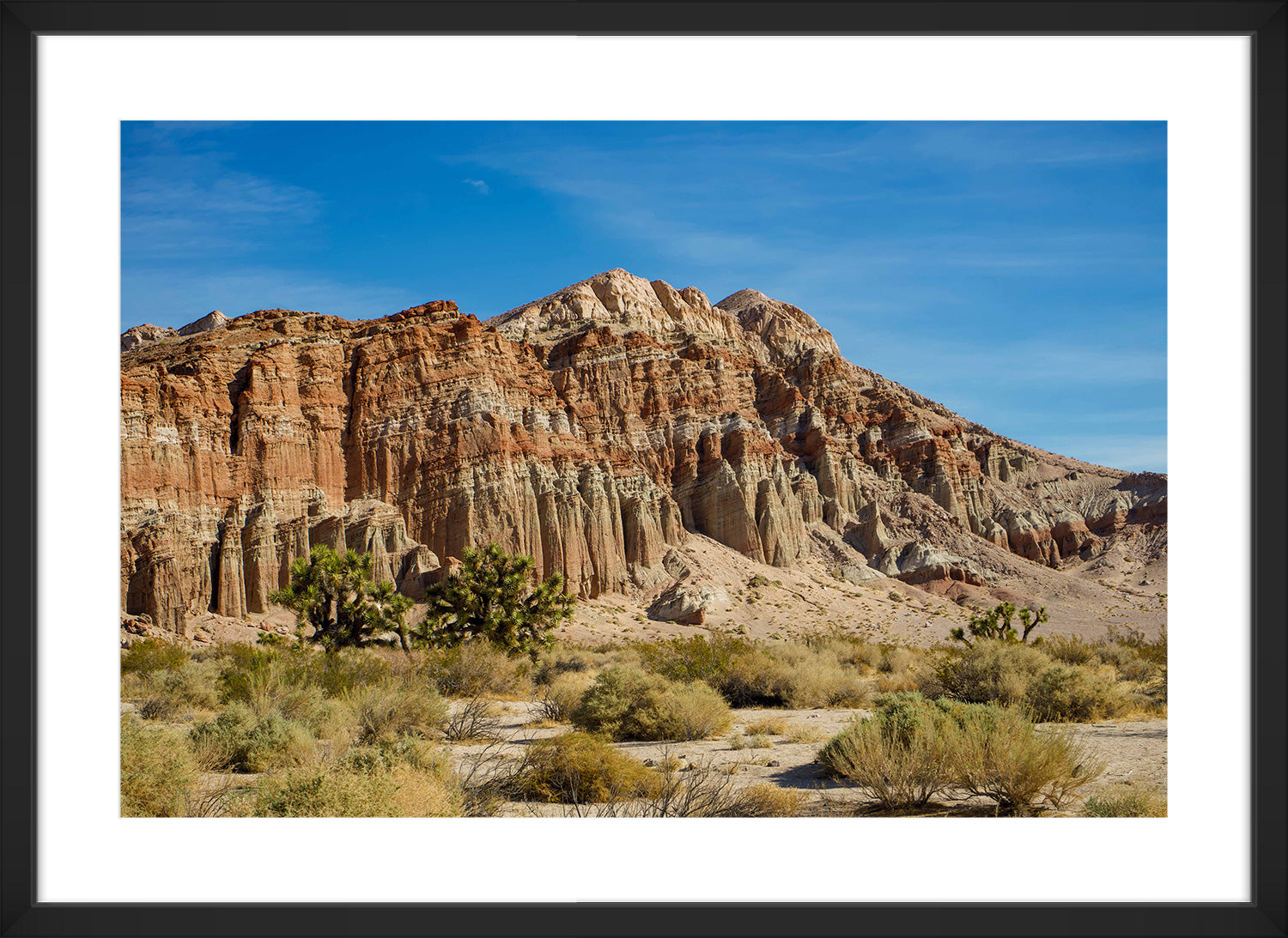 desert print black frame