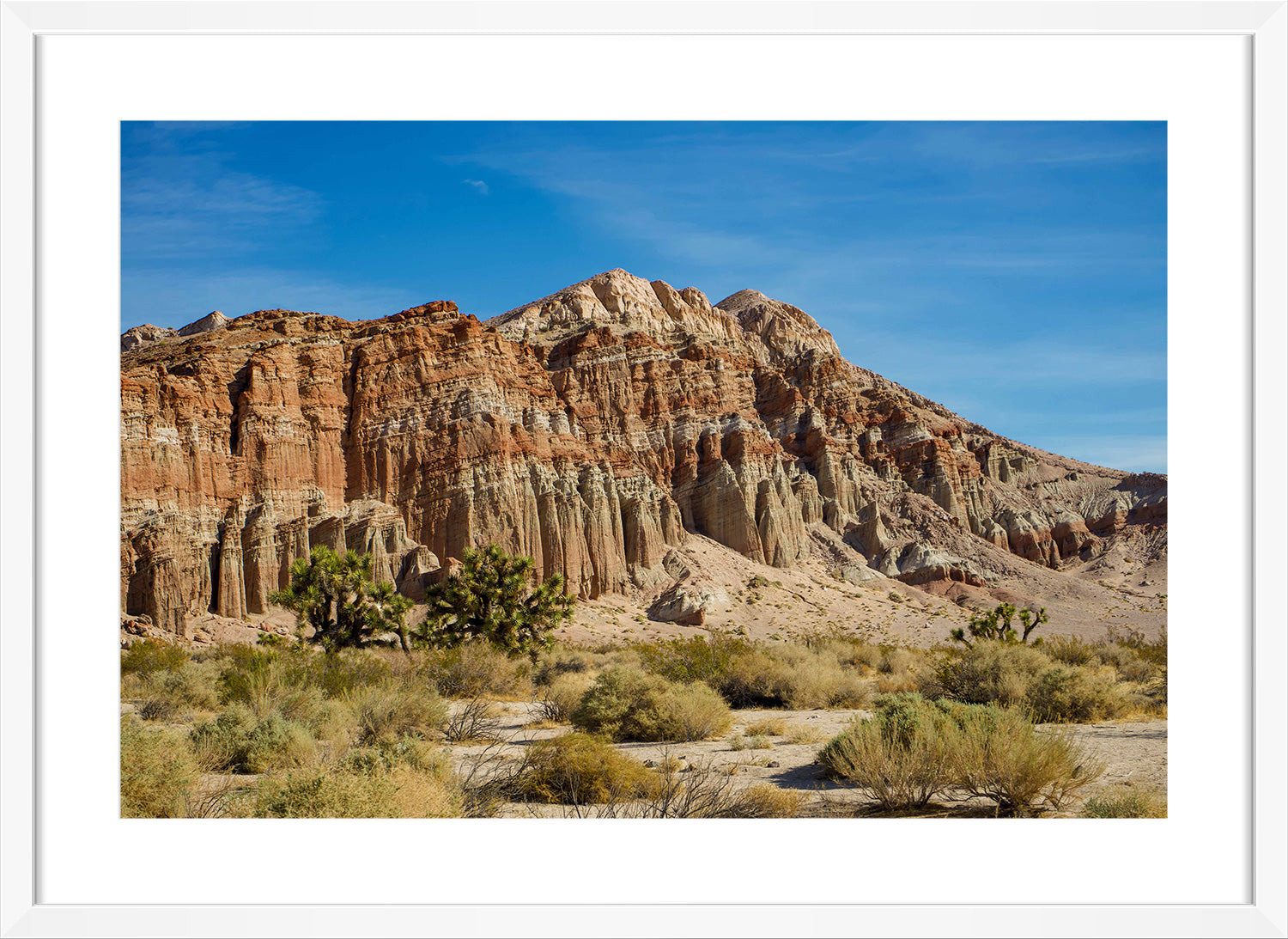 desert print white frame