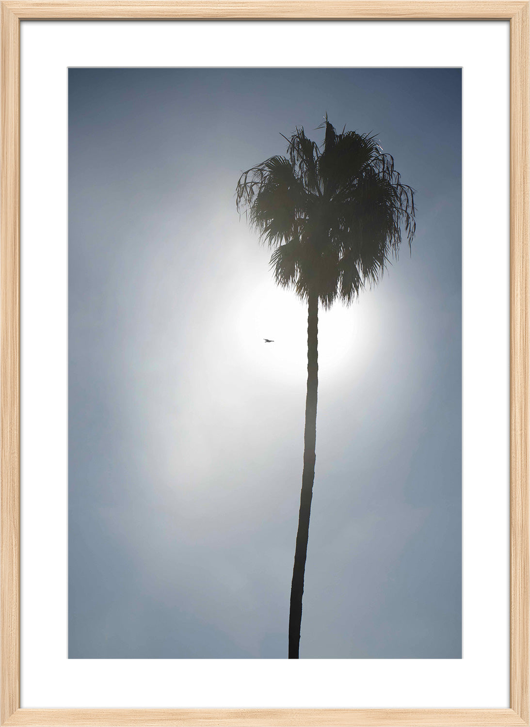 palm tree print wood frame