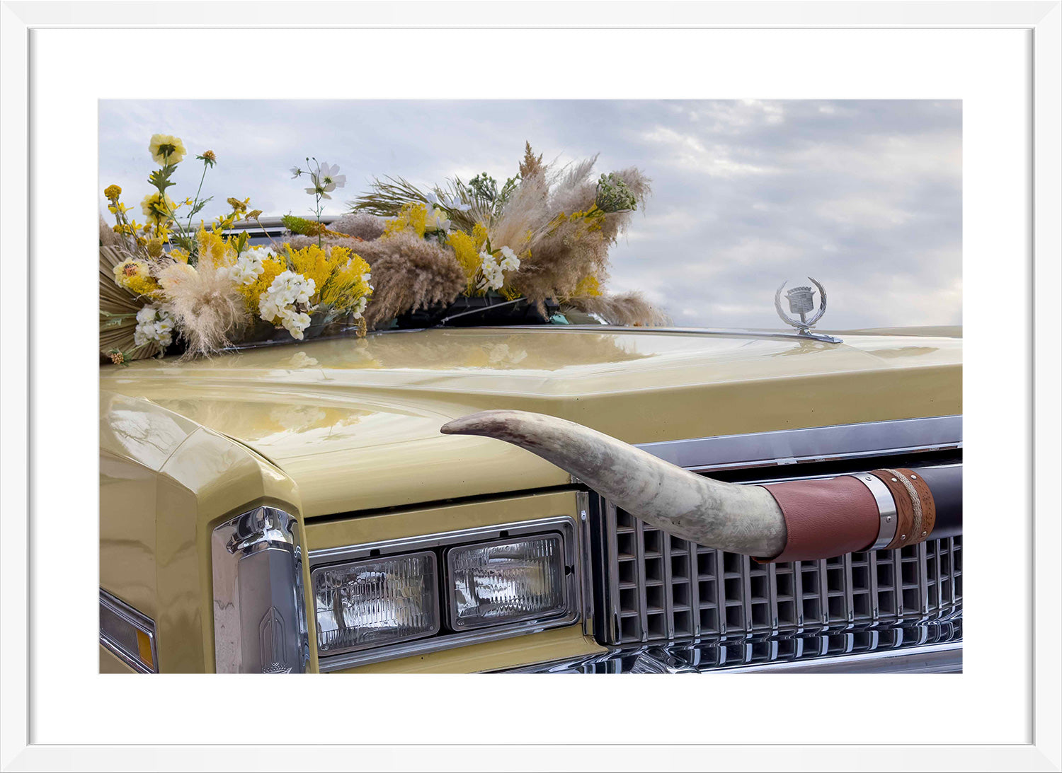 car print white frame