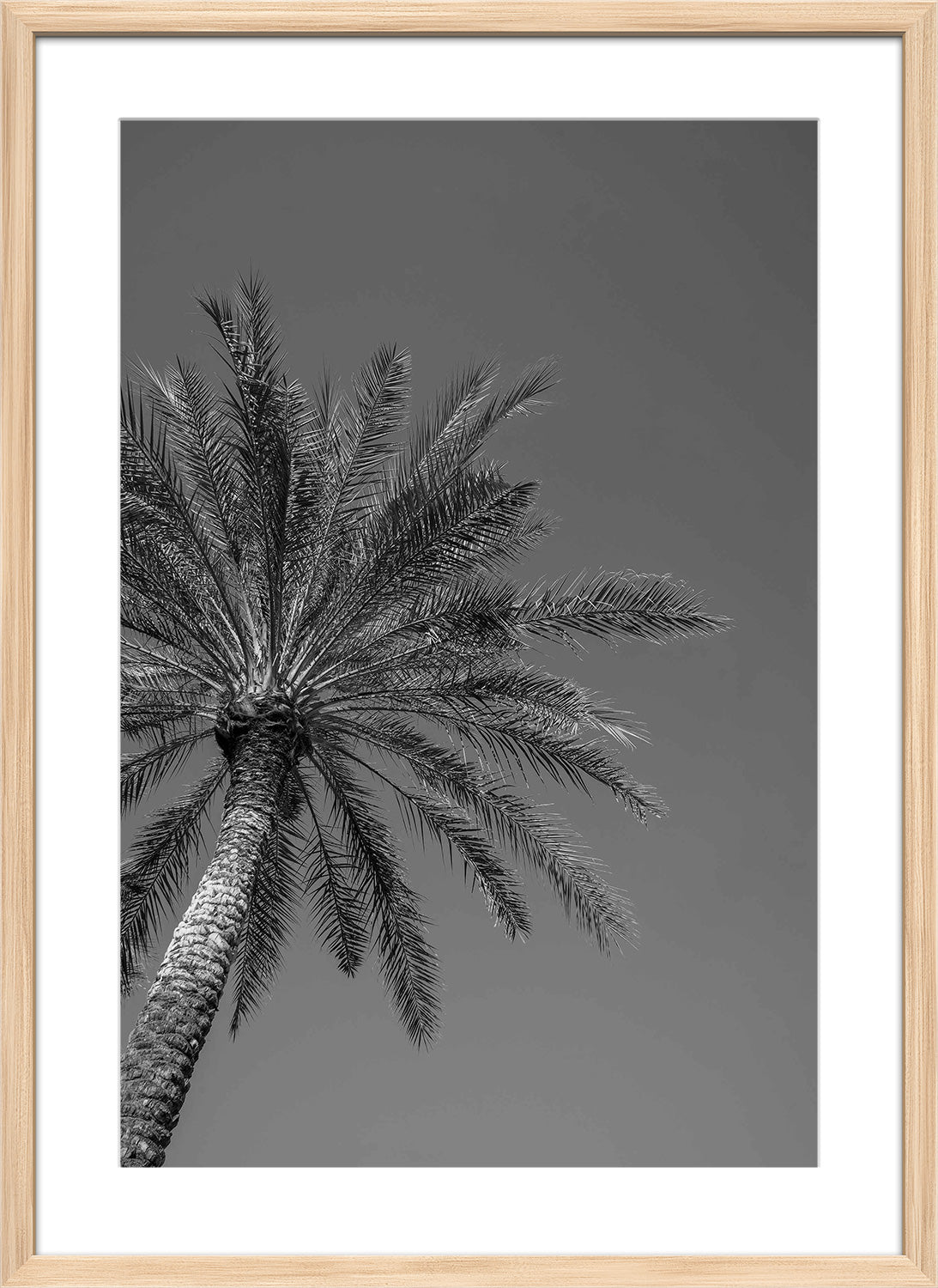 palm trees wood frame