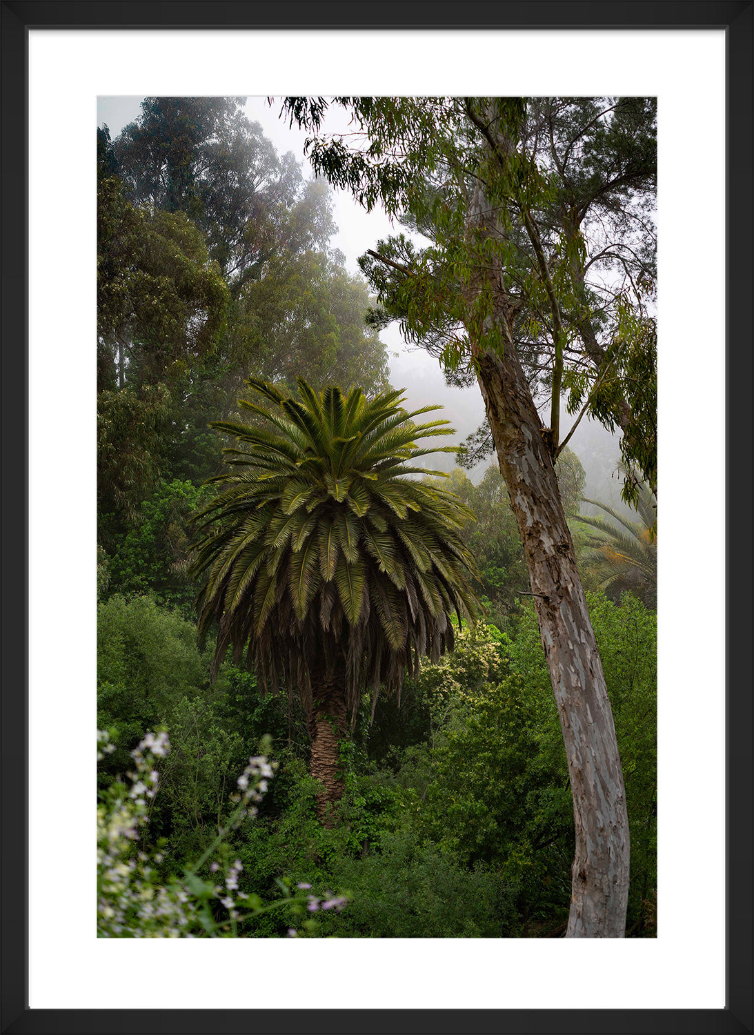 jungle black frame print
