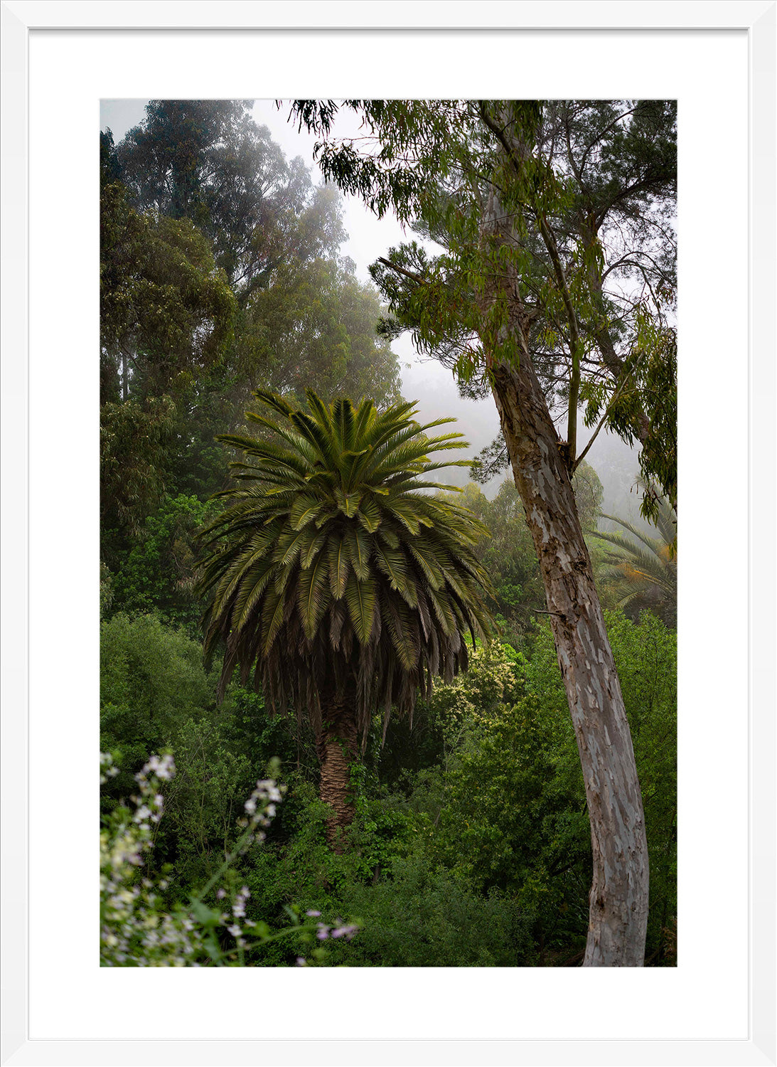 jungle white frame print