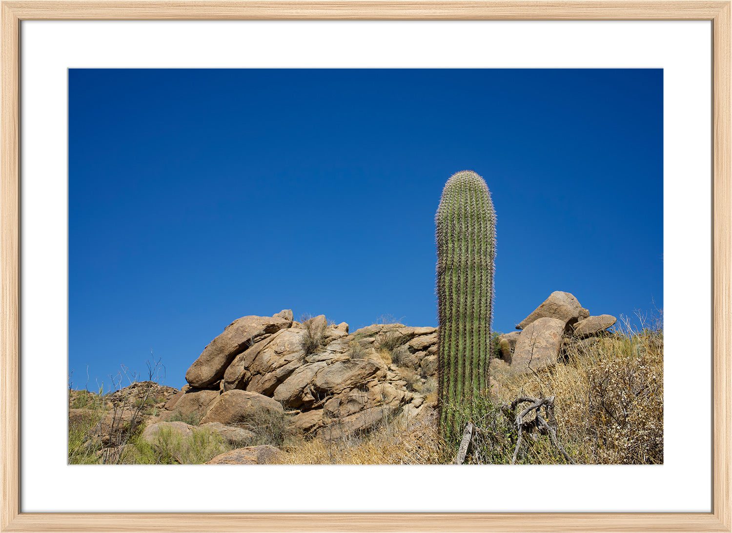 cactus print wood frame
