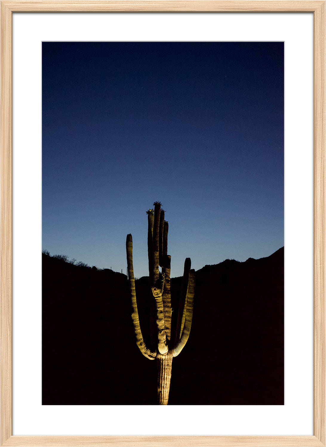 cactus print wood frame